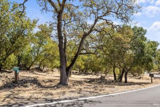 Residential Lot,  Rollo road, Santa Rosa, CA 95404 - 13