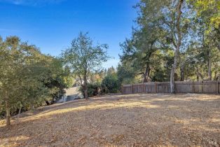 Residential Lot,  Washington avenue, Sebastopol, CA 95472 - 8