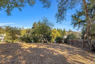 Residential Lot,  Washington avenue, Sebastopol, CA 95472 - 7