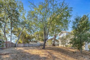 Residential Lot,  Washington avenue, Sebastopol, CA 95472 - 4