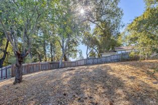 Residential Lot,  Washington avenue, Sebastopol, CA 95472 - 3