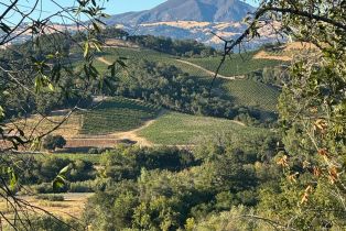 Residential Lot,  Scenic lane, Healdsburg, CA 95448 - 5