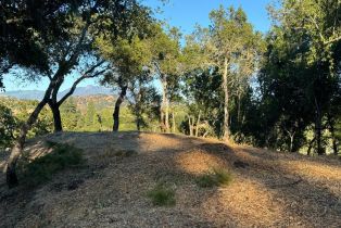 Residential Lot,  Scenic lane, Healdsburg, CA 95448 - 7