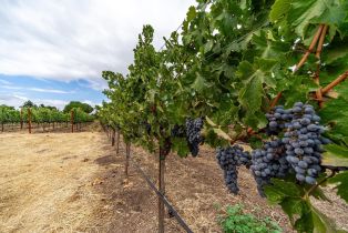 Single Family Residence,  4th avenue, Napa, CA 94559 - 18