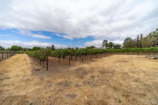 Single Family Residence,  4th avenue, Napa, CA 94559 - 17