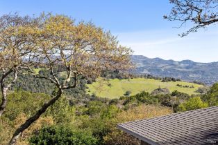 Single Family Residence,  White Alder none, Sonoma, CA 95476 - 46