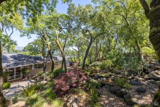 Single Family Residence,  White Alder none, Sonoma, CA 95476 - 47