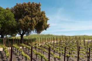 Agriculture,  Bonneau road, Sonoma, CA 95476 - 4