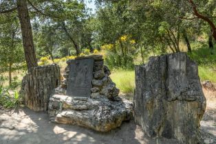 Single Family Residence,  Petrified Forest road, Santa Rosa, CA 95404 - 6