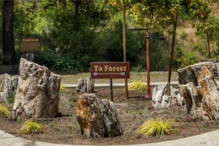 Single Family Residence,  Petrified Forest road, Santa Rosa, CA 95404 - 4