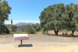 Single Family Residence,  Petrified Forest road, Santa Rosa, CA 95404 - 9