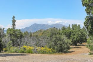 Single Family Residence,  Petrified Forest road, Santa Rosa, CA 95404 - 7