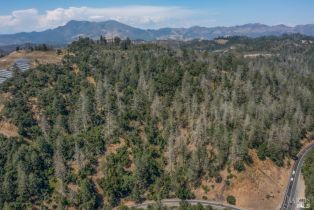 Single Family Residence,  Petrified Forest road, Santa Rosa, CA 95404 - 52