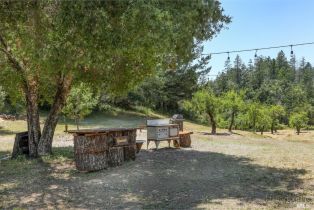 Single Family Residence,  Petrified Forest road, Santa Rosa, CA 95404 - 47