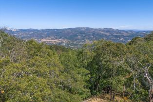 Residential Acreage,  Grove street, Sonoma, CA 95476 - 8