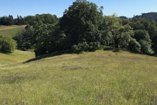 Residential Acreage,  Grove street, Sonoma, CA 95476 - 5