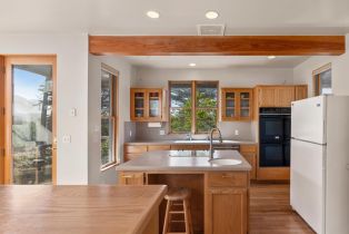 Single Family Residence,  Shepherds Close none, Sea Ranch, CA 95497 - 8