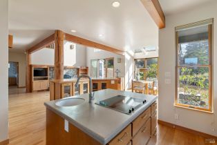 Single Family Residence,  Shepherds Close none, Sea Ranch, CA 95497 - 11