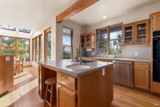 Single Family Residence,  Shepherds Close none, Sea Ranch, CA 95497 - 9