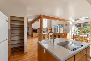 Single Family Residence,  Shepherds Close none, Sea Ranch, CA 95497 - 10