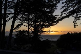 Single Family Residence,  Shepherds Close none, Sea Ranch, CA 95497 - 54