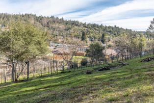 Residential Lot,  Parker Hill road, Santa Rosa, CA 95404 - 11