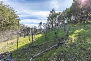 Residential Lot,  Parker Hill road, Santa Rosa, CA 95404 - 17