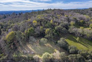 Residential Lot,  Parker Hill road, Santa Rosa, CA 95404 - 25