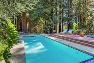 Single Family Residence,  Joy road, Occidental, CA 95465 - 42