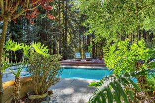 Single Family Residence,  Joy road, Occidental, CA 95465 - 43