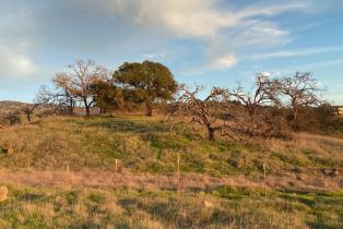 Agriculture,  Chimney Rock road, Napa, CA 94558 - 32