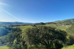 Agriculture,  Chimney Rock road, Napa, CA 94558 - 20