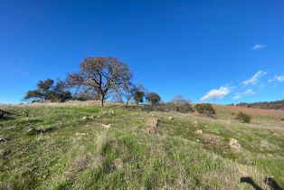 Agriculture,  Chimney Rock road, Napa, CA 94558 - 11