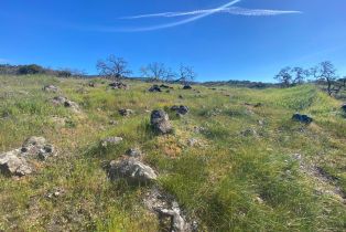 Agriculture,  Chimney Rock road, Napa, CA 94558 - 33