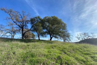 Agriculture,  Chimney Rock road, Napa, CA 94558 - 2