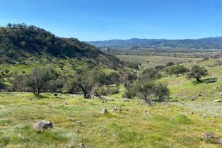 Agriculture,  Chimney Rock road, Napa, CA 94558 - 12