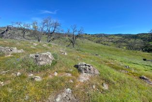 Agriculture,  Chimney Rock road, Napa, CA 94558 - 10