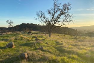 Agriculture,  Chimney Rock road, Napa, CA 94558 - 19