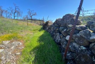 Agriculture,  Chimney Rock road, Napa, CA 94558 - 21