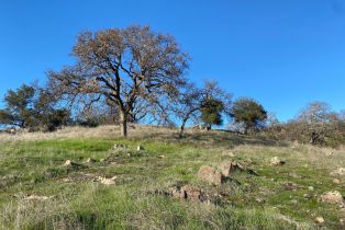 Agriculture,  Chimney Rock road, Napa, CA 94558 - 13