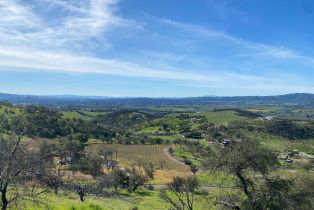 Agriculture,  Chimney Rock road, Napa, CA 94558 - 22