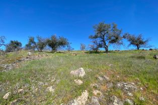 Agriculture,  Chimney Rock road, Napa, CA 94558 - 36