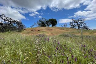 Agriculture,  Chimney Rock road, Napa, CA 94558 - 40