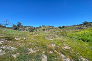 Agriculture,  Chimney Rock road, Napa, CA 94558 - 24