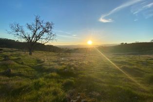 Agriculture,  Chimney Rock road, Napa, CA 94558 - 18