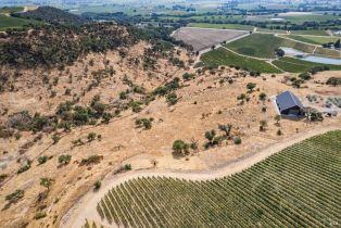 Agriculture,  Chimney Rock road, Napa, CA 94558 - 27