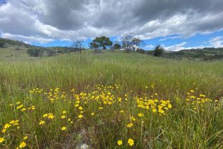 Agriculture,  Chimney Rock road, Napa, CA 94558 - 25