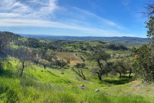 Agriculture,  Chimney Rock road, Napa, CA 94558 - 23