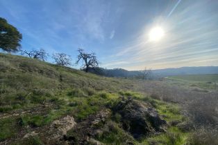 Agriculture,  Chimney Rock road, Napa, CA 94558 - 16