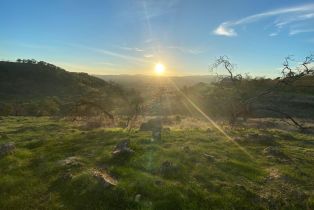 Agriculture,  Chimney Rock road, Napa, CA 94558 - 17